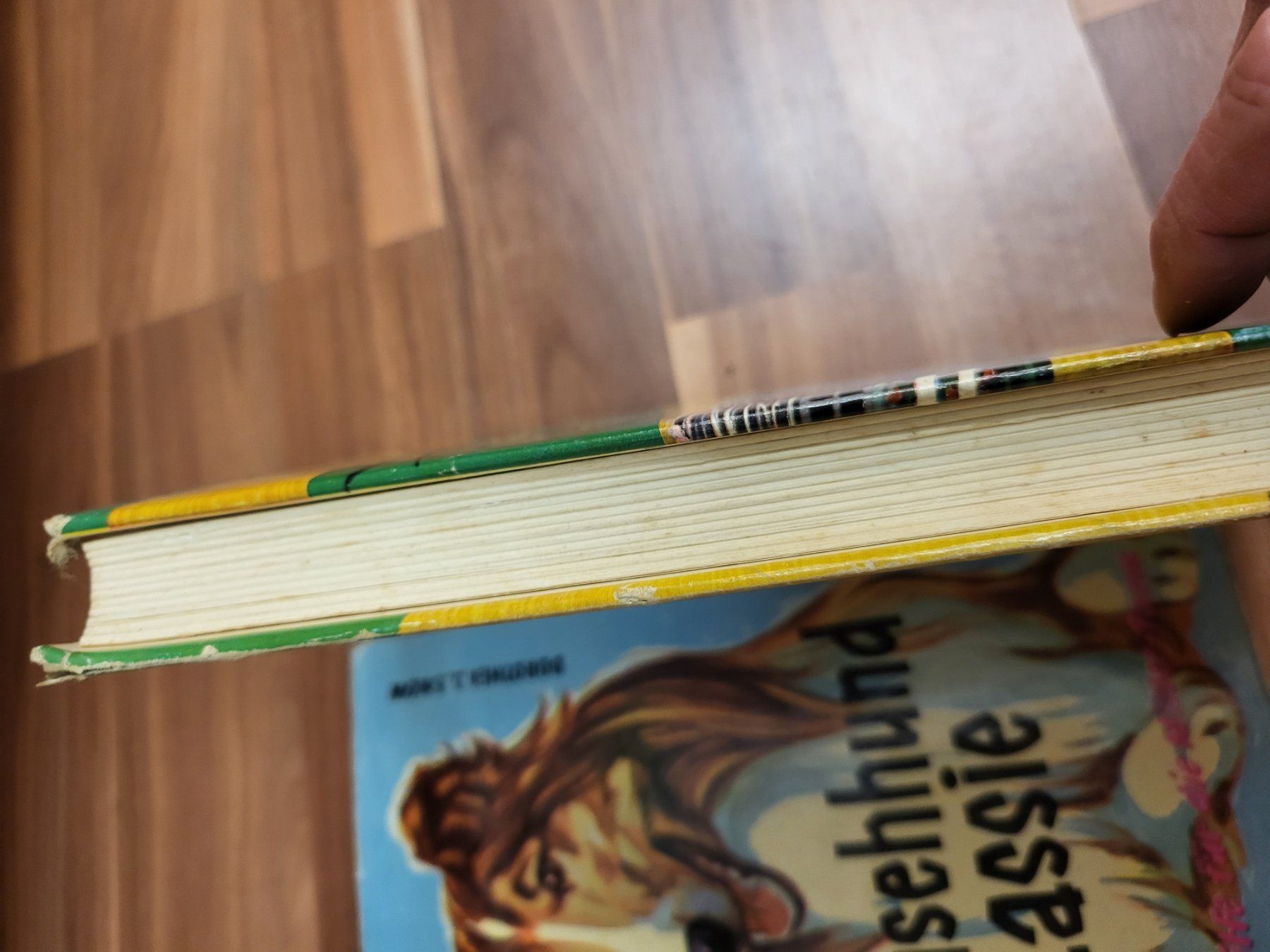 Libri: Lassie Bücherset B3 – Usato da Schwarzenburg venduto da Flamingo07 1