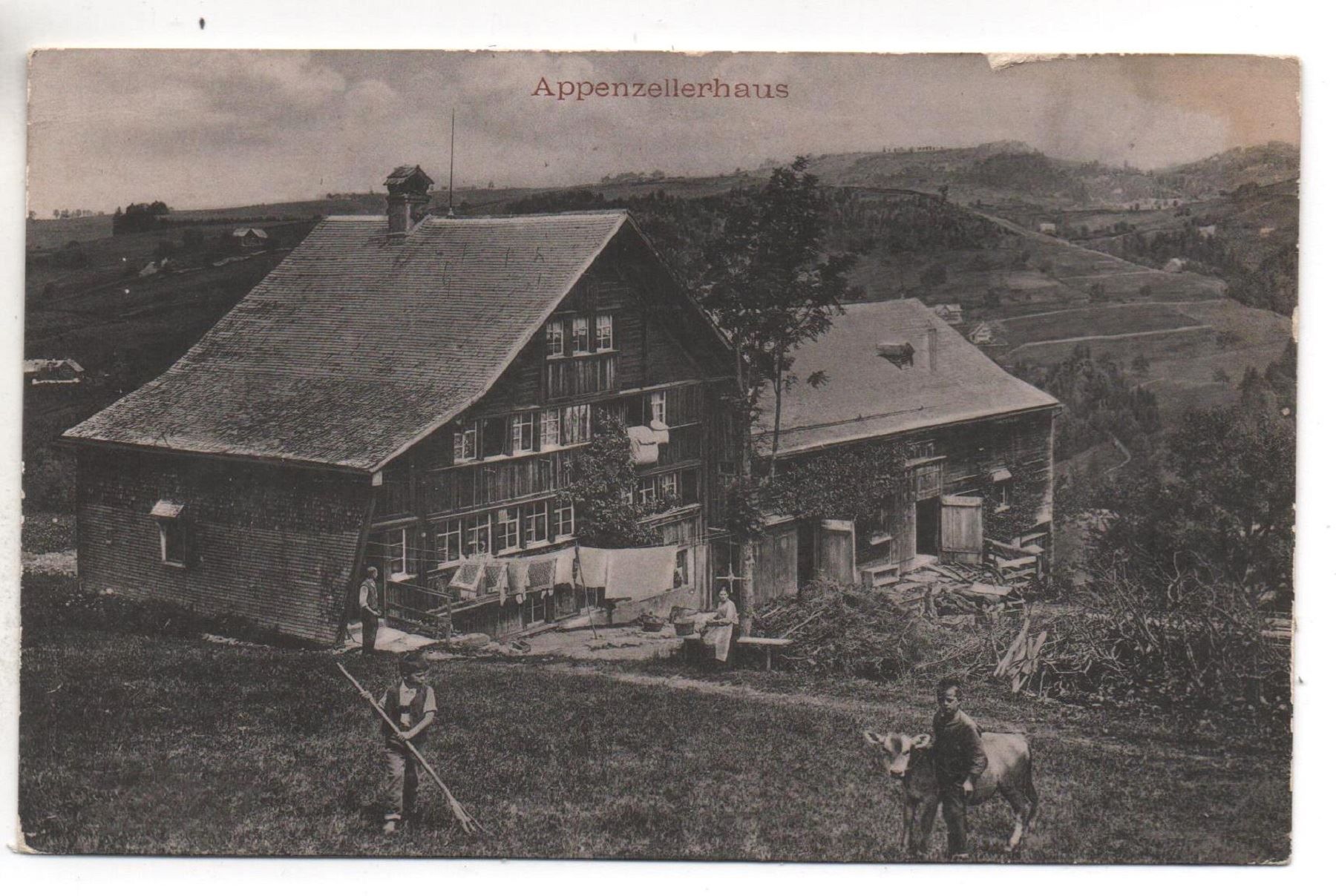 Cartoline postali: APPENZELLERHAUS Bauer mit Kuh – Nuovo (secondo la descrizione) da Jona venduto da philajona