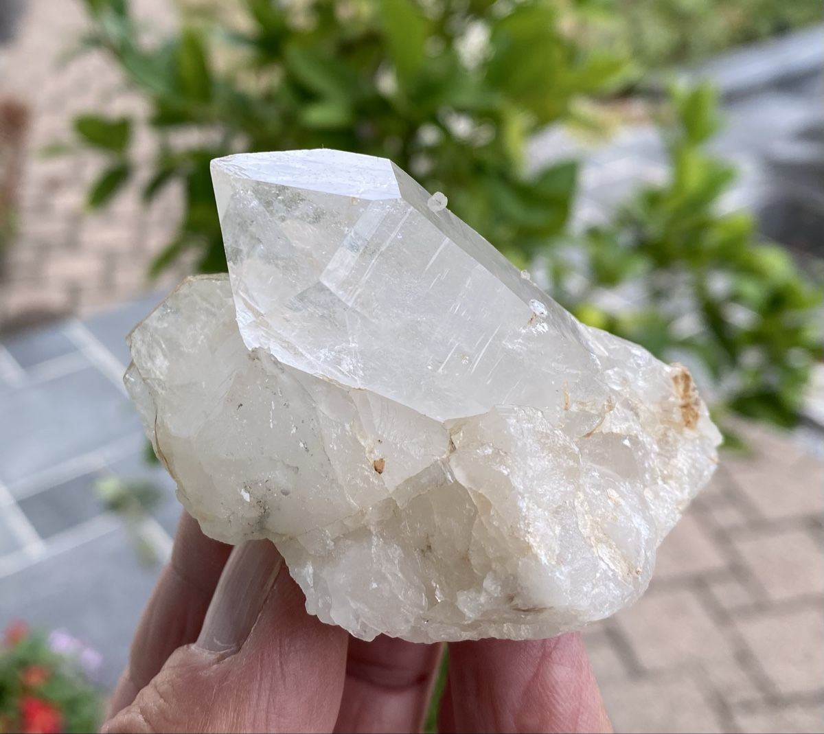 Mineralien & Heilsteine: Bergkristall Wergenstein Graubünden  – Gebraucht aus Selzach von 321compac 3