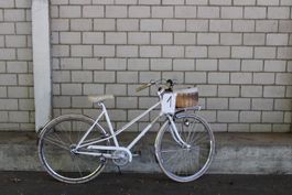 Velo 1