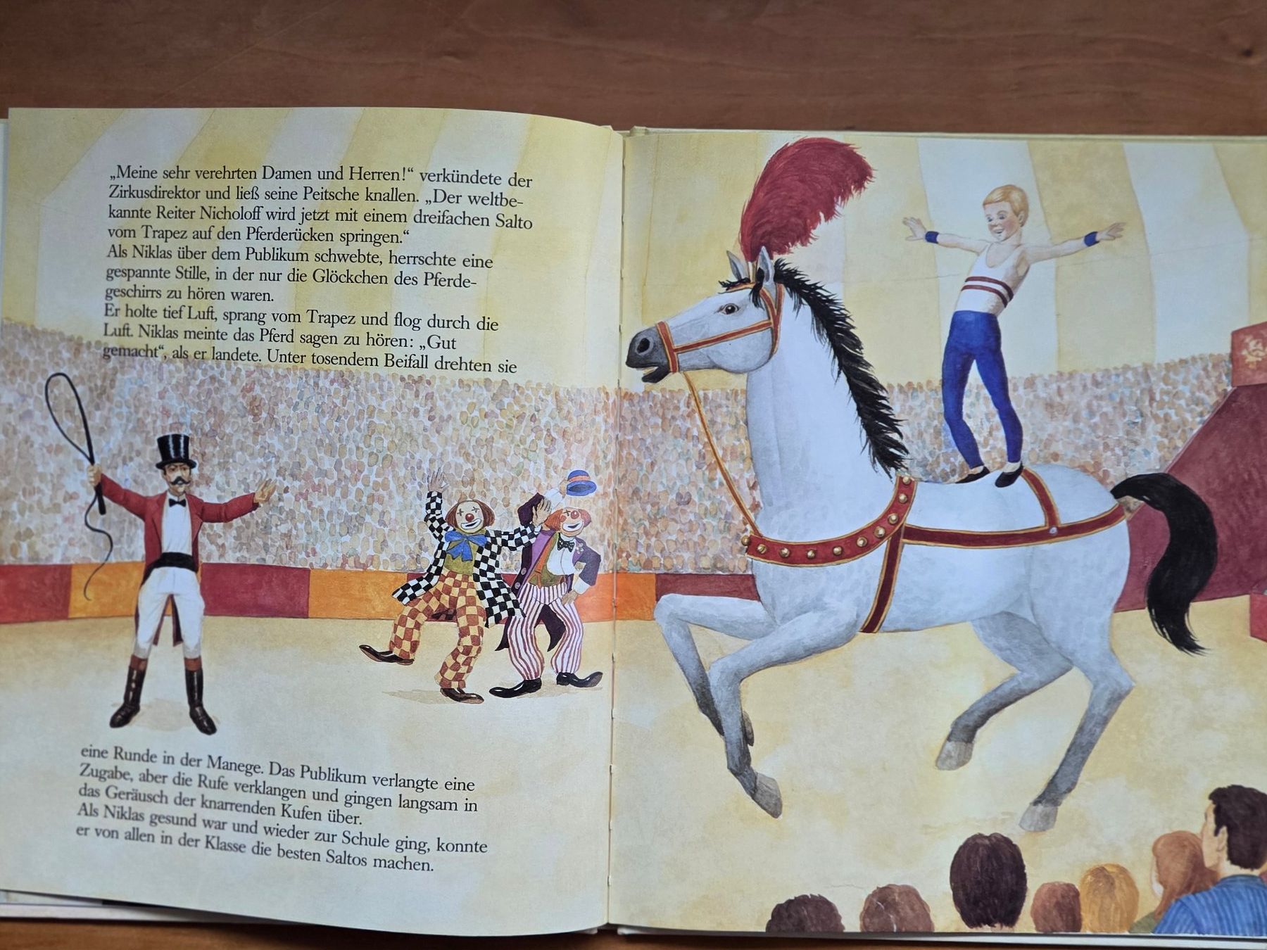 Libri: Bilderbuch: Niklas und das Schaukelpferd – Usato da St. Gallen venduto da Razoon77 2