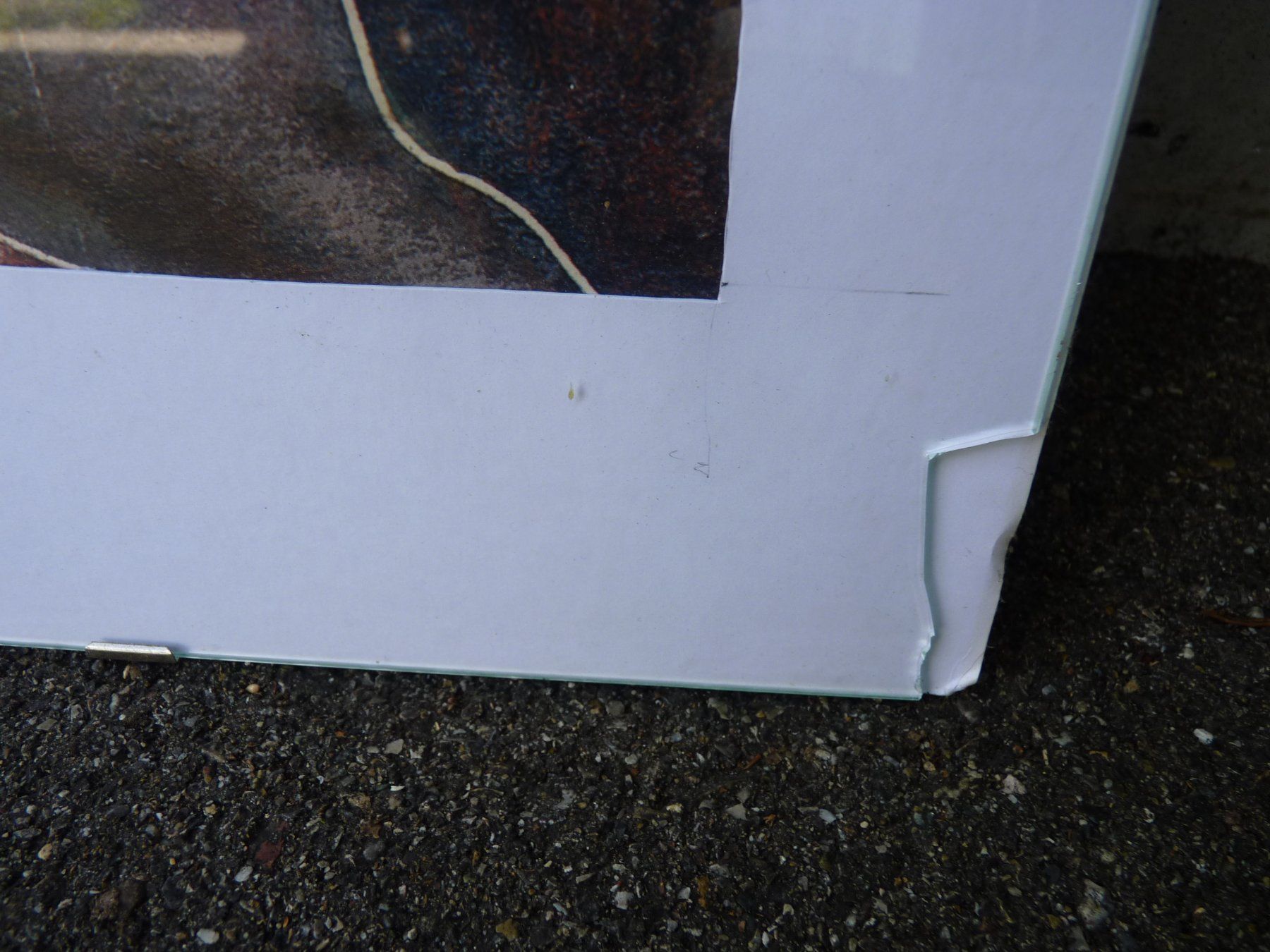 Foto & Immagini: Hans Erni Druck mit defekten Glas – Usato da Küsnacht ZH venduto da zoliboli01 4
