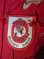 HC SION *THE DUCKS* EISHOCKEY WIMPEL KLEIN SELTEN ANTIK