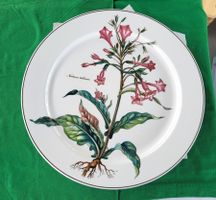 Villeroy & Boch Teller Botanica/ Vintage-Serie