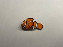 Disney - Tonie "Nemo"