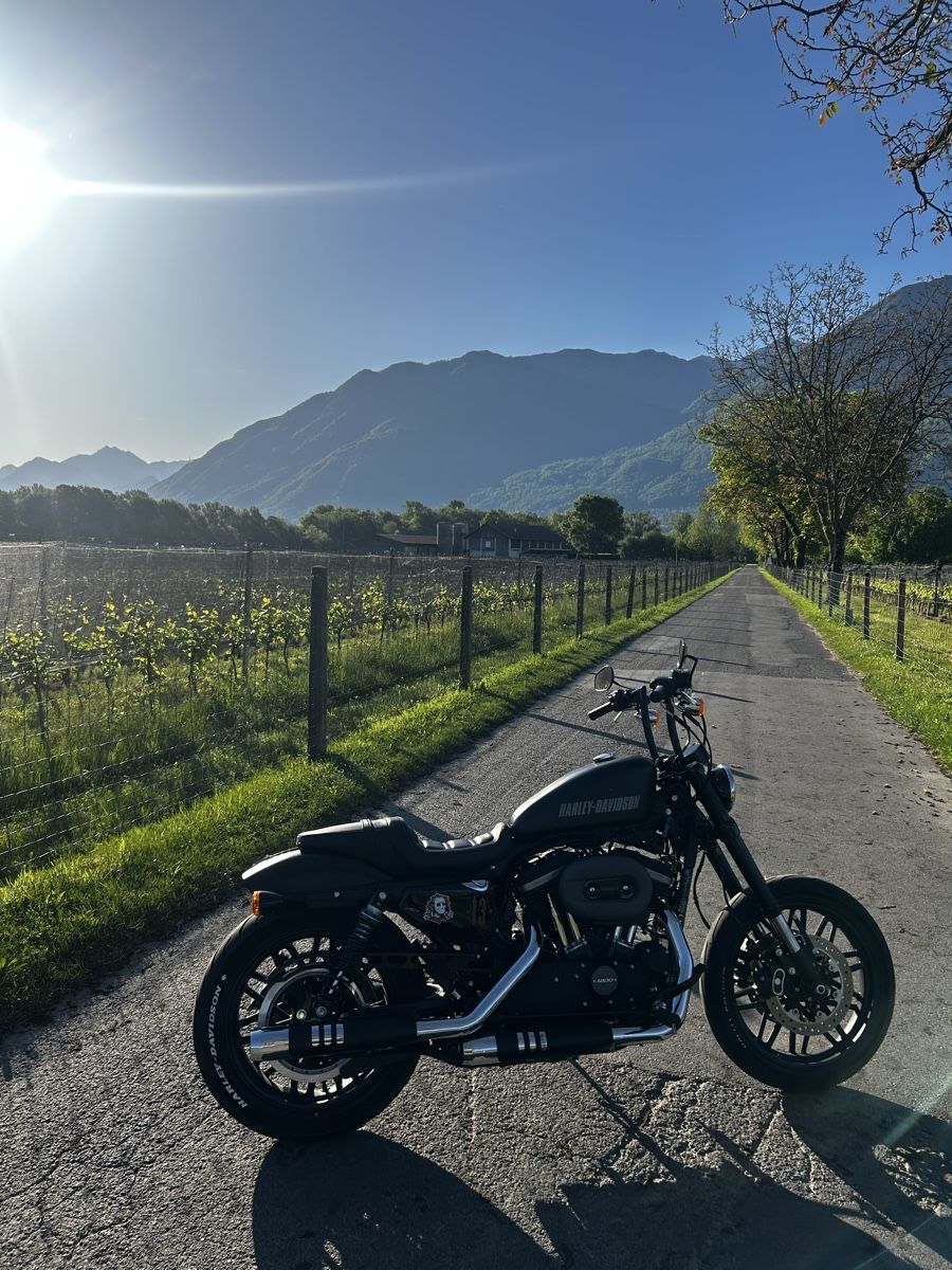 Chopper: XL 1200 CX – Usato da S. Antonino venduto da Arthur686