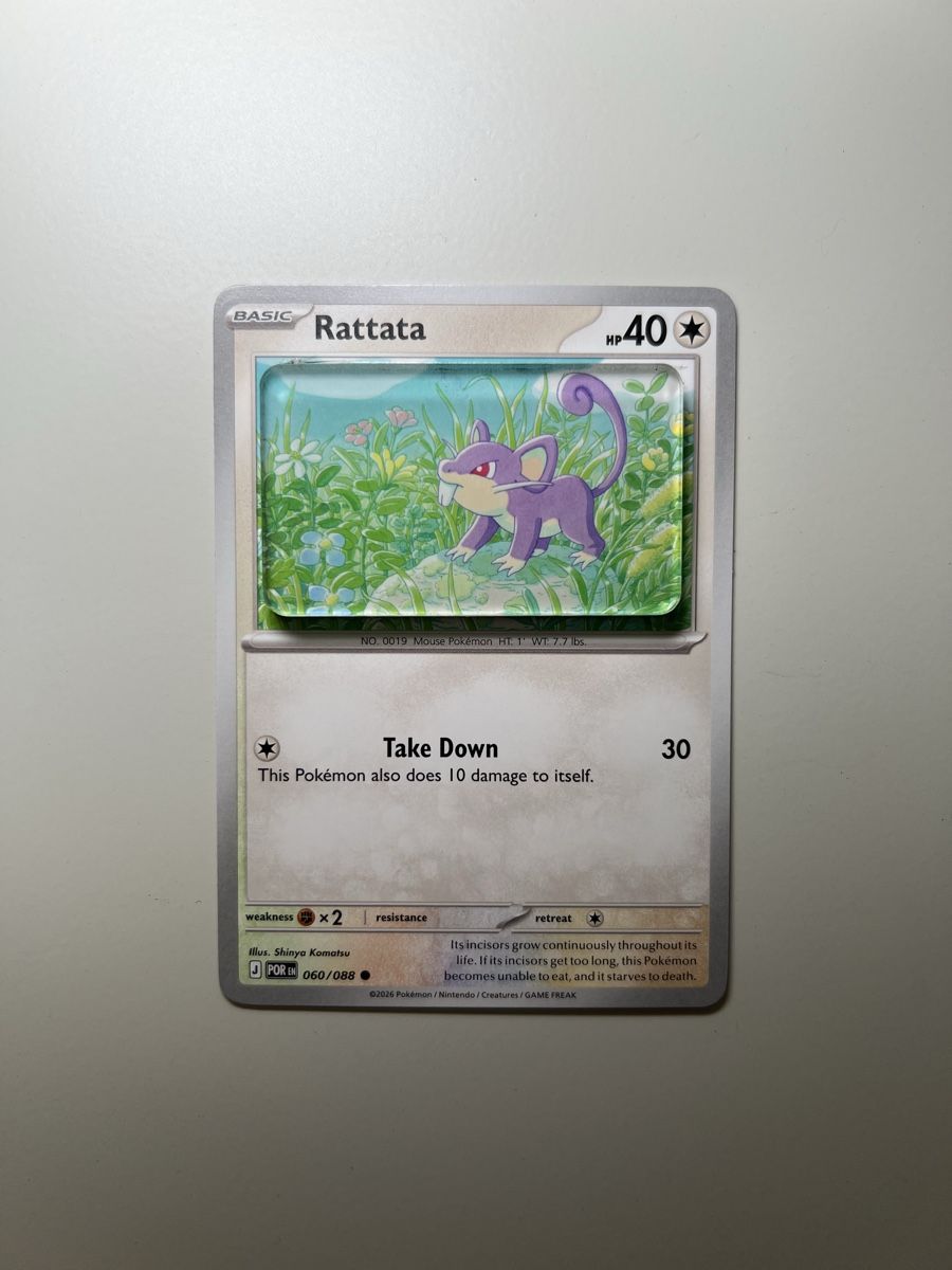 Pokémon Carte collezionabili: Pokemon Rattata Magnet – Nuovo (secondo la descrizione) da Langenthal venduto da EceSuzu 1