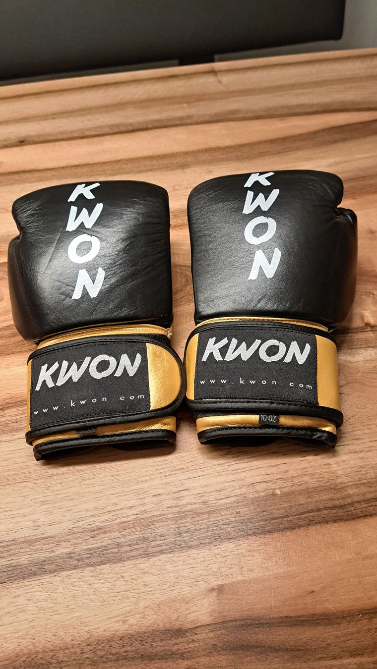 Guanti & manicotti: Kickboxhandschuhe KO Champ 10 Oz – Nuovo (secondo la descrizione) da Dozwil venduto da RianSchenk