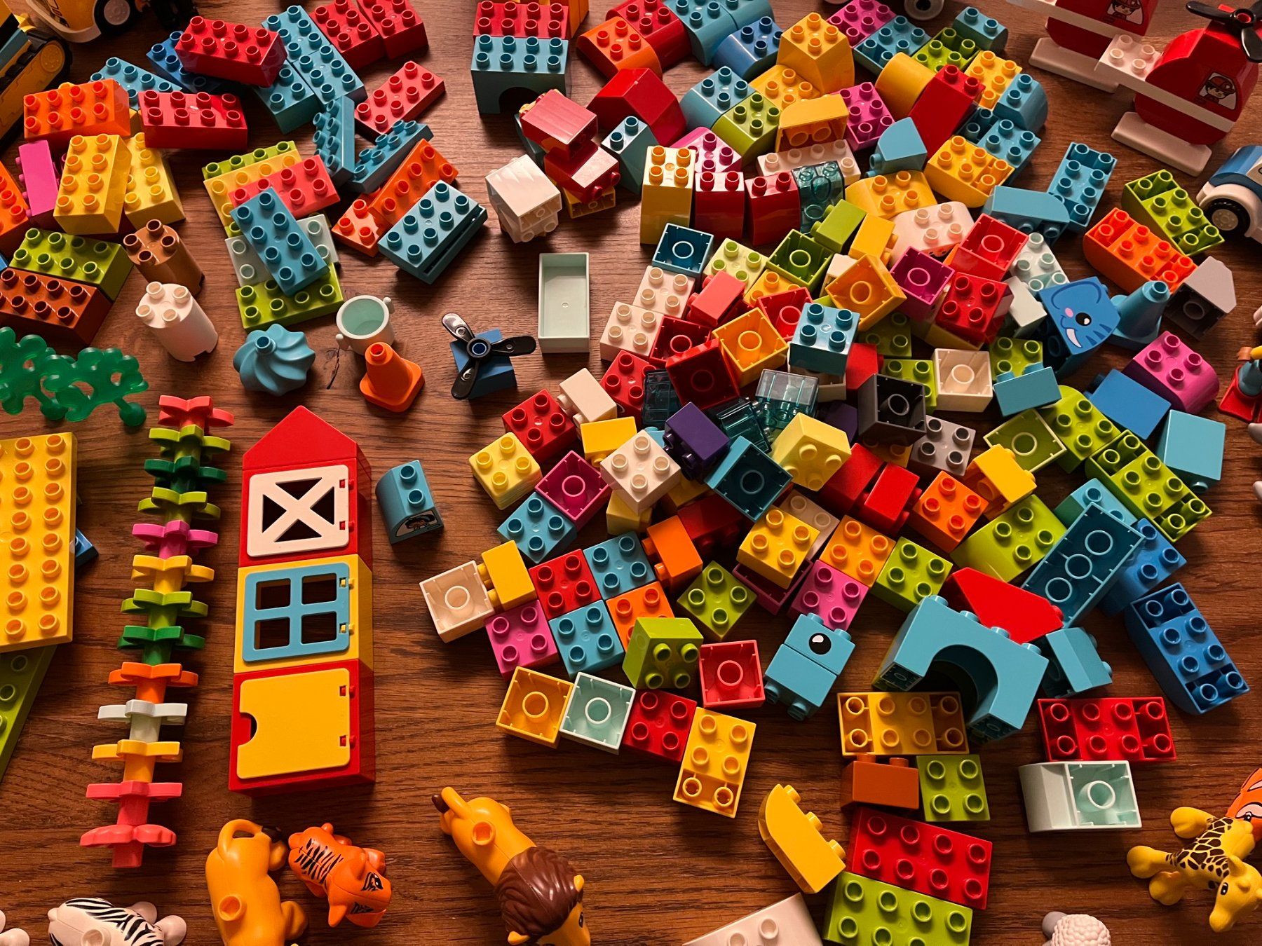 Lego Kit di costruzioni: Lego Duplo Konvolut – Usato da Wiesendangen venduto da mar_yx9r 5