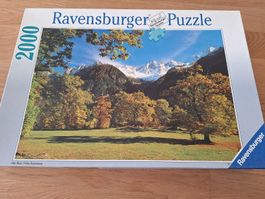 Ravensburger Puzzle guter Zustand