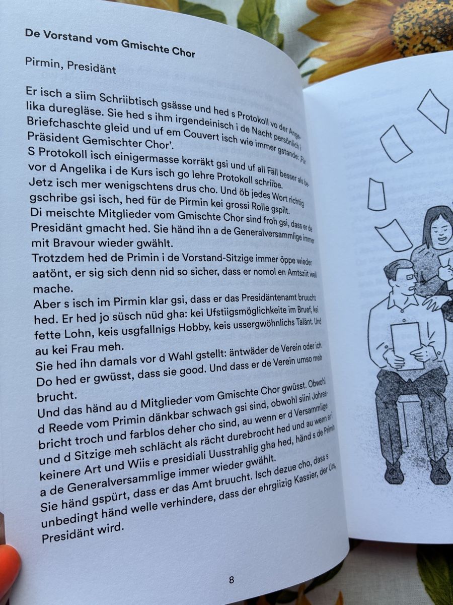 Libri: Paul Steinmann Geschichte Buch gebraucht – Usato da Wettingen venduto da ric_xm6x 6