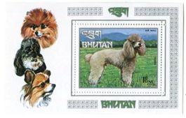 Block "Hunde". Bhutan