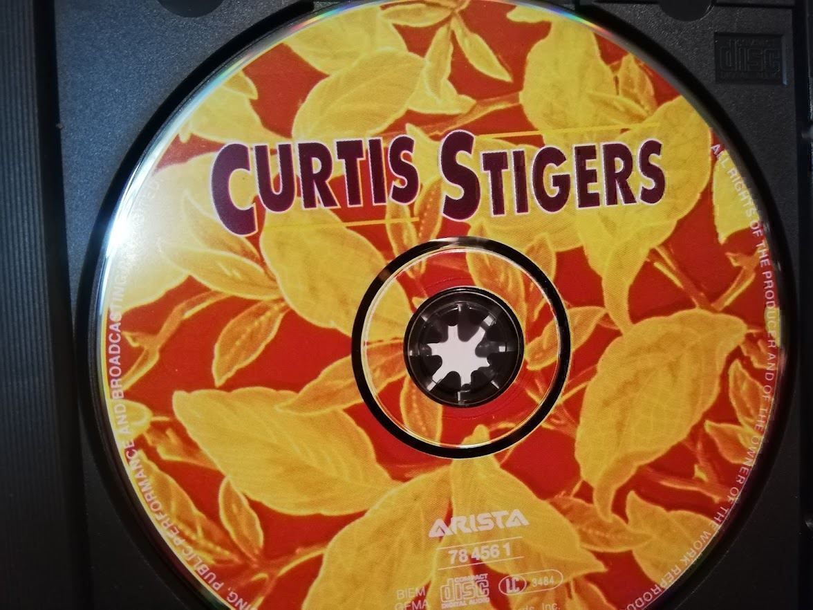 CD: Curtis Stigers CD Top Zustand – Usato da Zofingen venduto da noise123 2