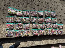 EINEN Sack Knöpfe 0.5 KG - Assortiert