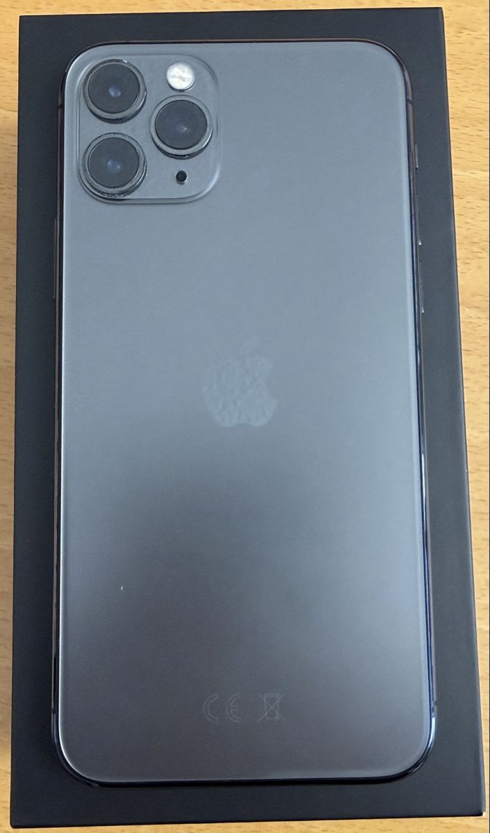 Apple Telefoni cellulari / Smartphones: Iphone 11 Pro 256 GB Space Grey – Usato da Horn venduto da Bestia-Italiana
