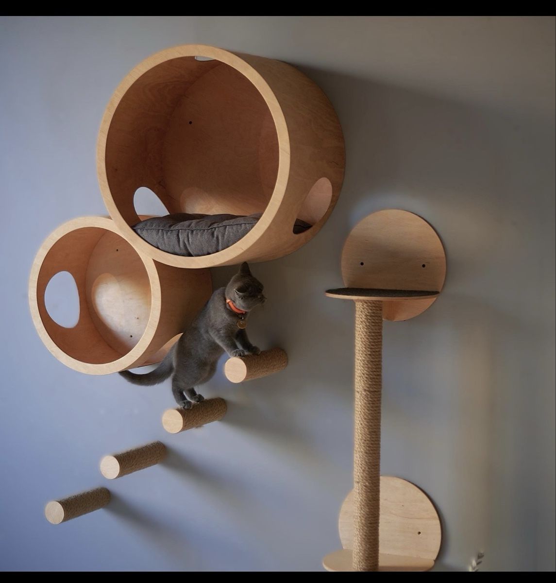 Katzenbaum - Kratzbaum: Katzenwand - 7 set aus Holz – Neu und originalverpackt aus Regensdorf von itslilia