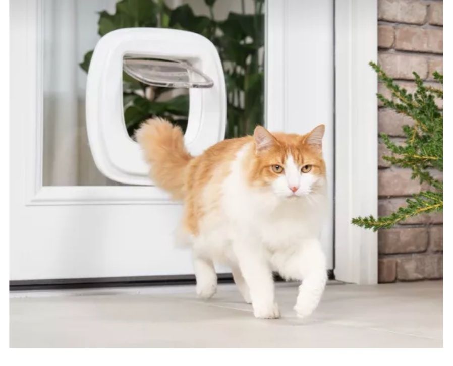 Katzenklappen: Ferplast Katzen- oder Hundetüre – Neu und originalverpackt aus Bern von iRicardo01 2