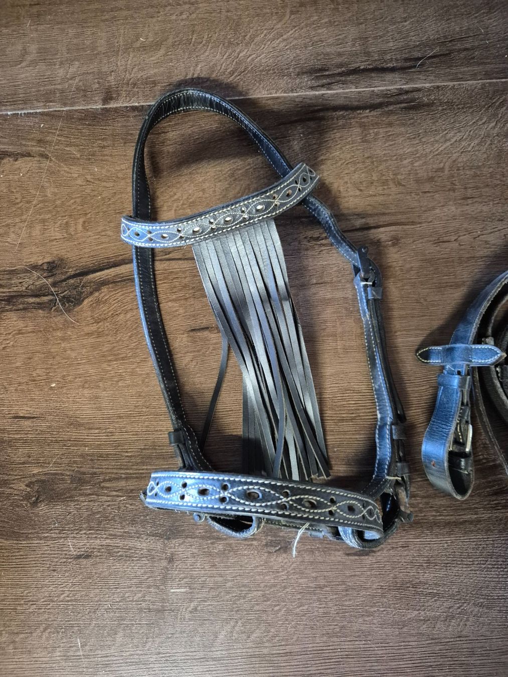 Briglie & Cavezze: Zaumzeug Pony – Usato da Meggen venduto da Orrinka20 1