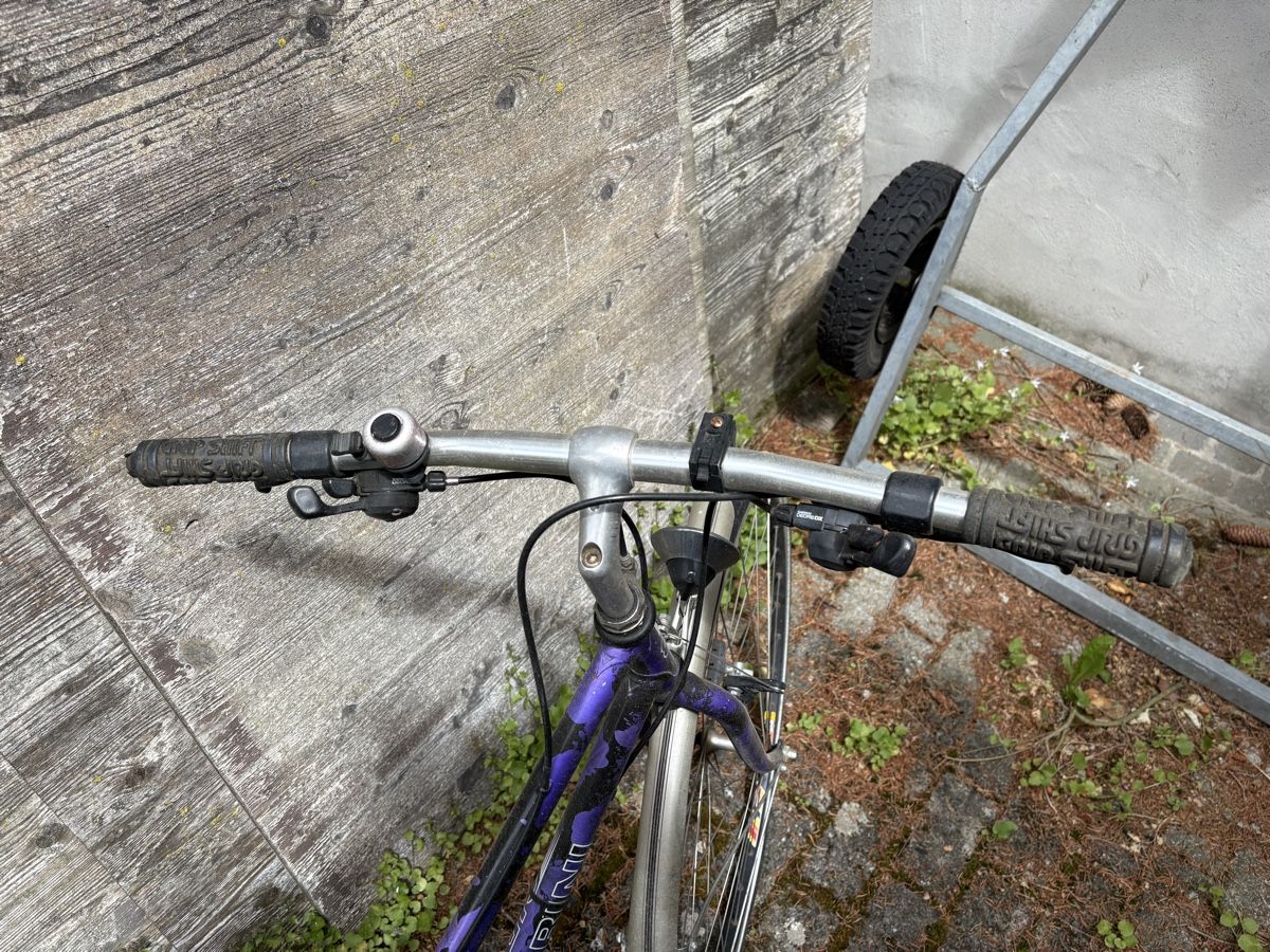 Biciclette: Velo lila – Usato da St.Margrethen SG venduto da bettyblue 1
