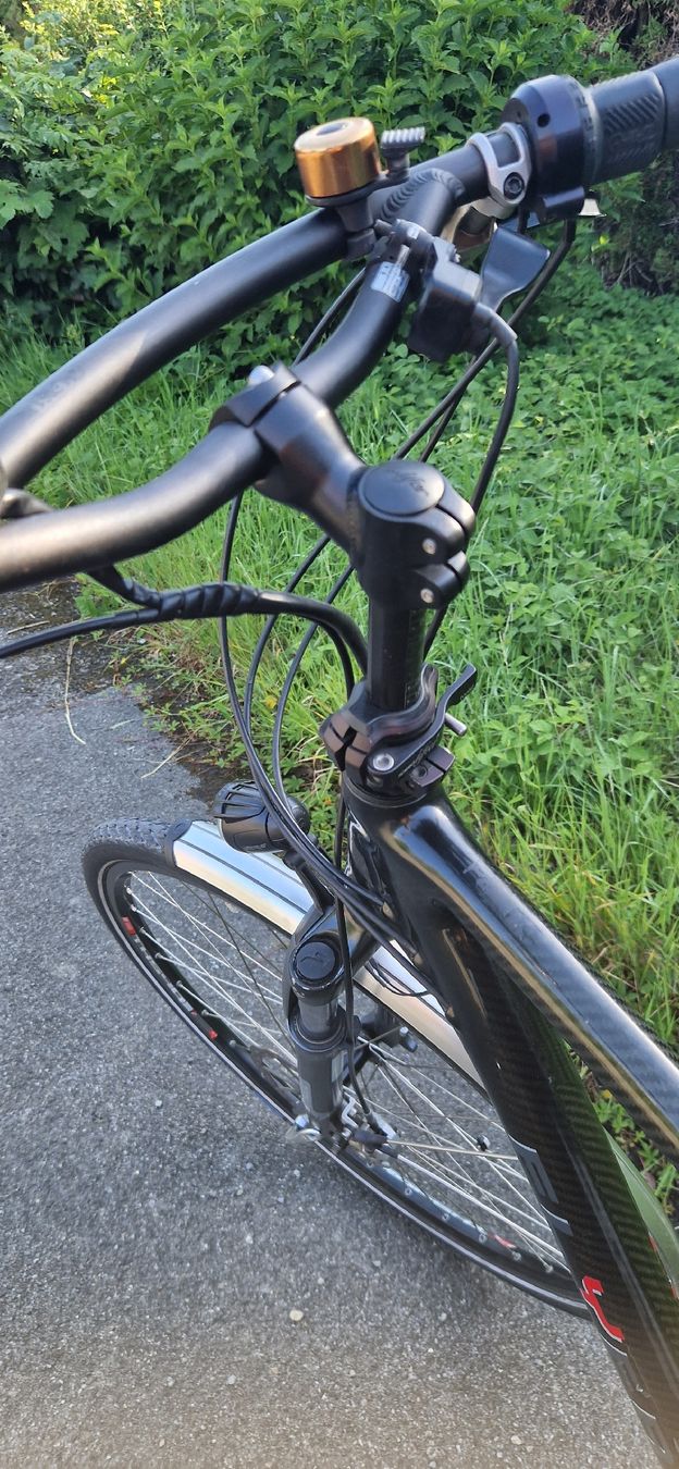 Flyer Biciclette: E-Bike FLYER – Usato da Romanshorn venduto da fag_gnd6 3