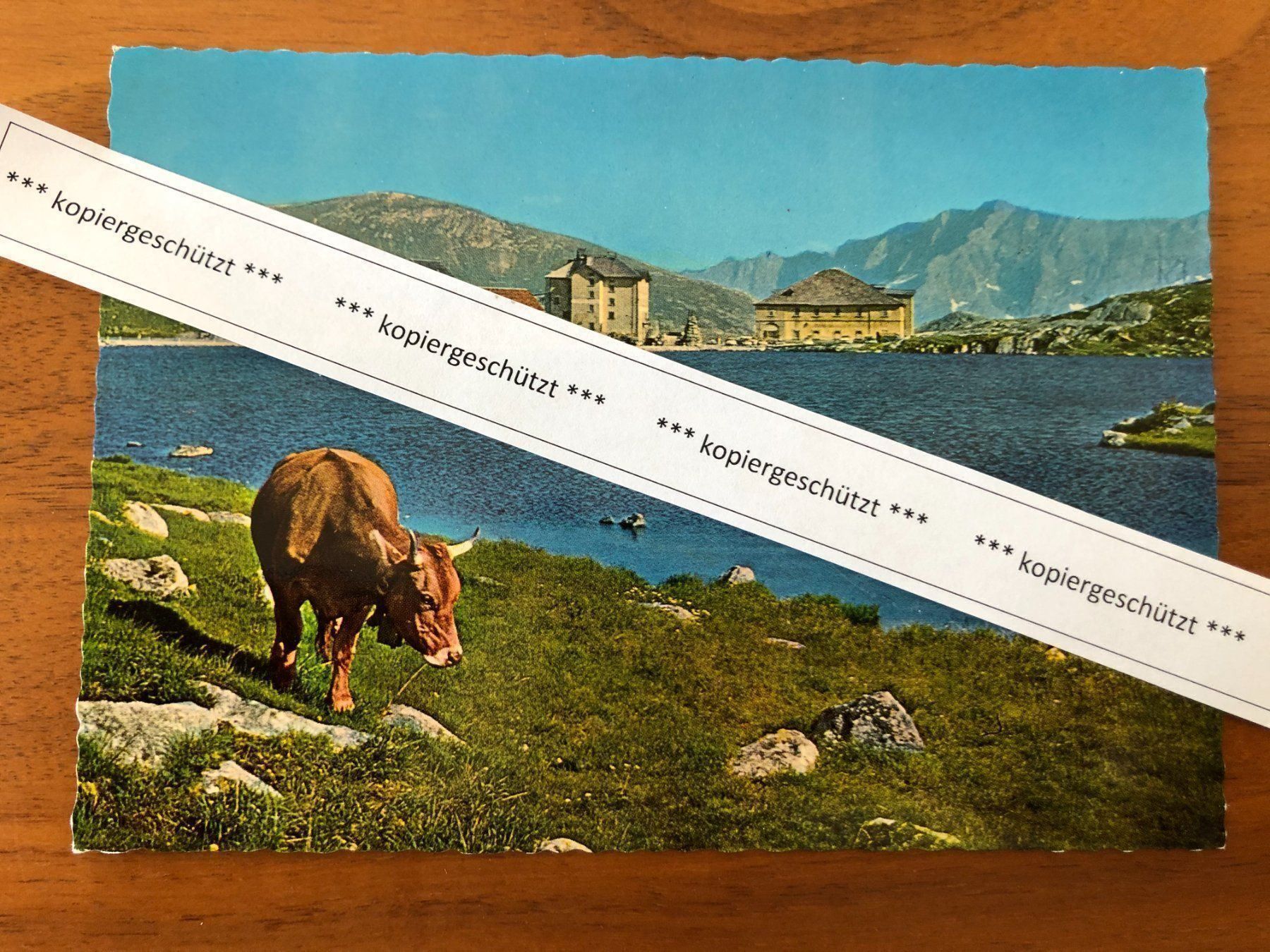 Cartes postales: San Gottardo Pass, Kuh, Hospiz mit See AK – D'occasion à Hefenhofen par Bierinder