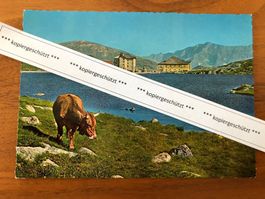 San Gottardo Pass, Kuh, Hospiz mit See AK