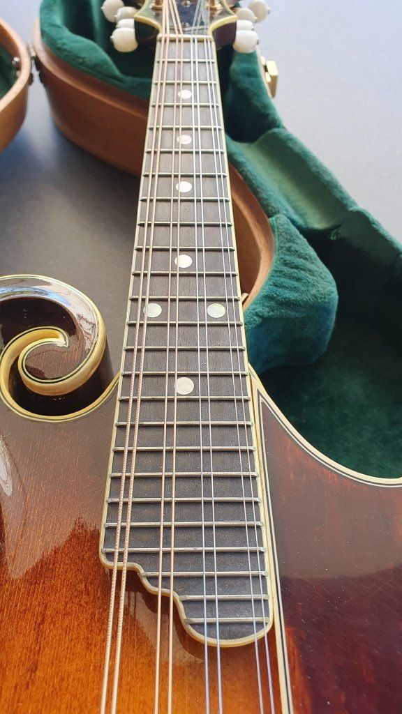 Washburn Strumenti musicali: Mandoline Washburn M-4S Jethro Burns – Usato da Biembach venduto da Musiksalander 6
