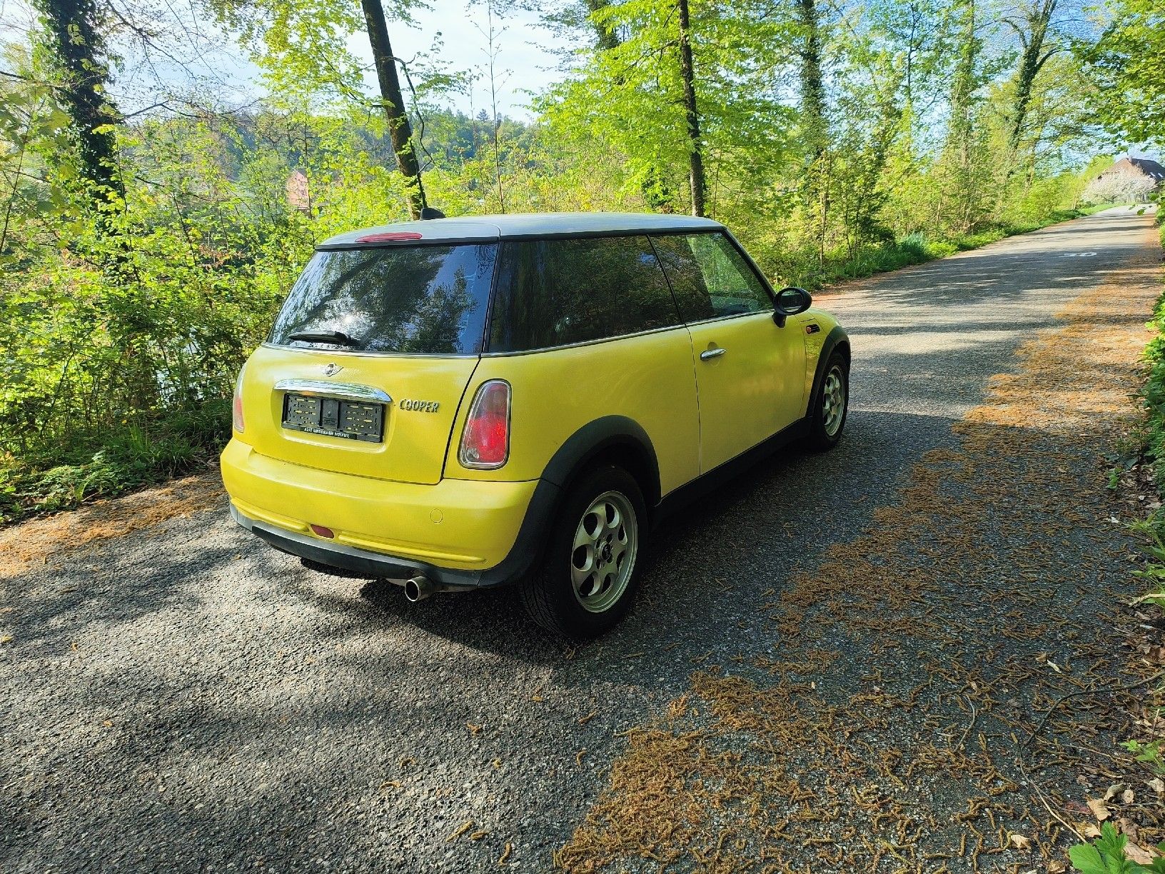 Mini Autos: Mini Cooper.2004.mit MFK – D'occasion à Fulenbach par Elektronik 3