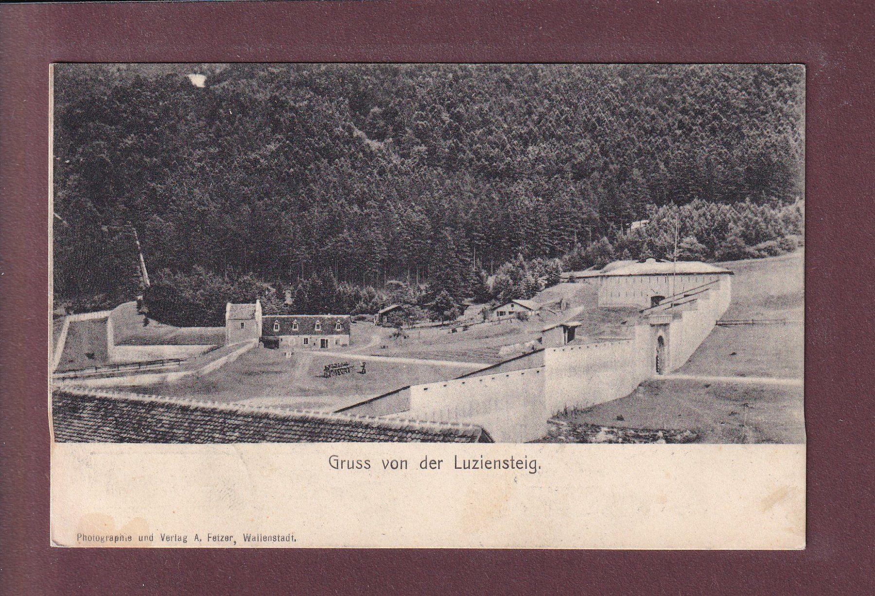 Cartes postales: Gruss von der LUZIENSTEIG - 1906 – D'occasion à Pully par nicecards