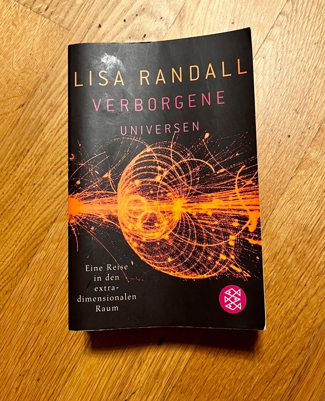Libri: Physik-Sachbuch "Verborgene Universen" – Usato da St.Gallen venduto da Jamaruqua