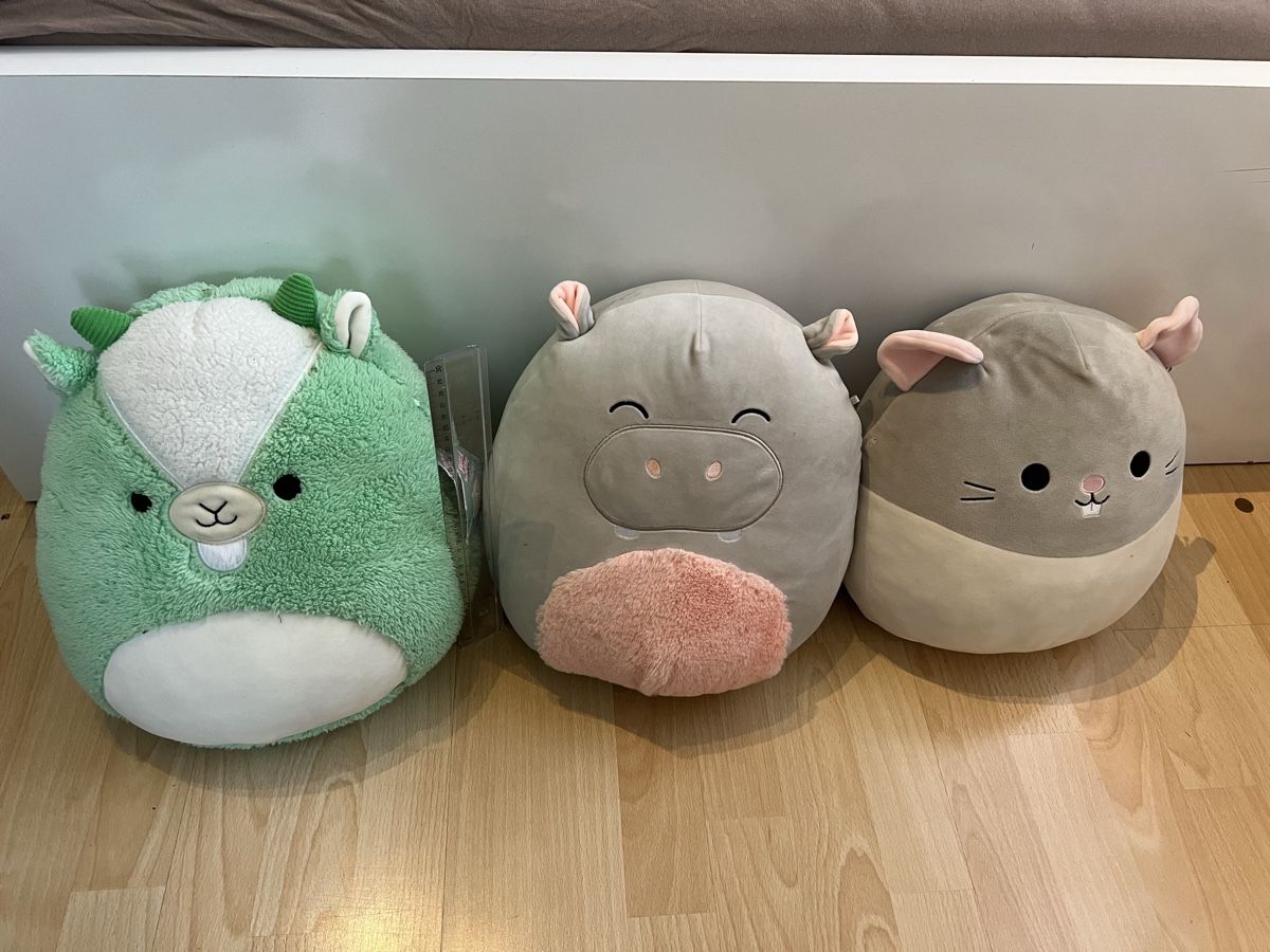 Squishmallows Giocattoli: Squishmallows Kuscheltiere, 3 Stk – Usato da Schaan venduto da jassyb1