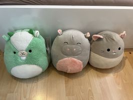 Squishmallows Kuscheltiere, 3 Stk