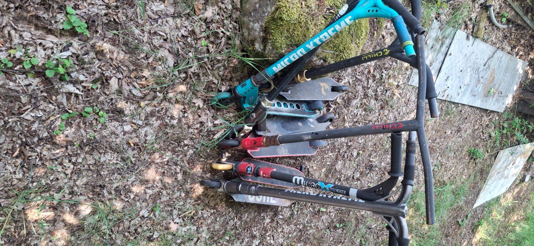 Chilli Kickboard: 6 Freestyle Trottis – Gebraucht aus Kyburg von JBMNT2020 1