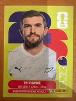 Panini NZL6