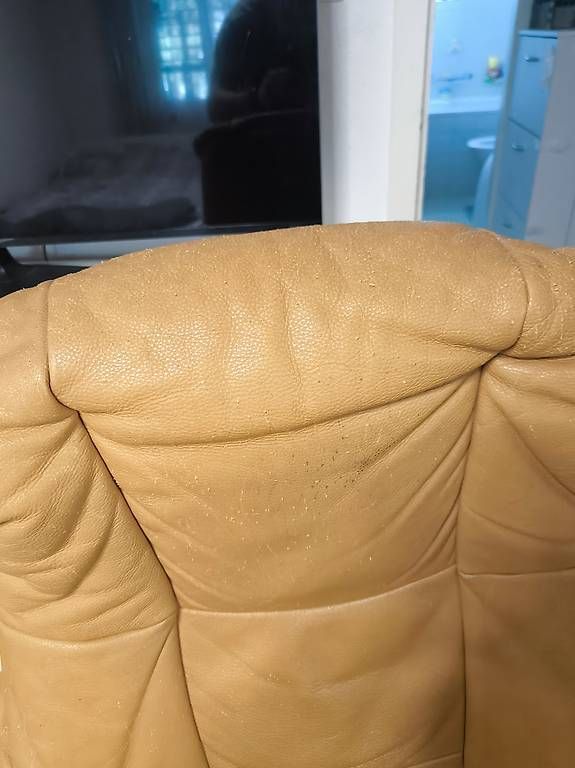 Sessel: Sessel  – Gebraucht aus Windisch von tiru90 1