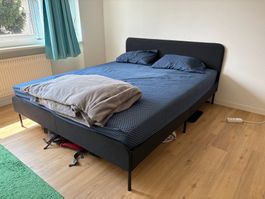 Umzugsverkauf: Bettgestell schwarz 160x200cm guter Zustand