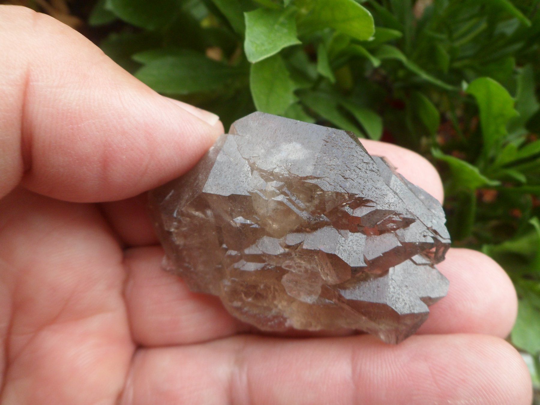 Minerali & Pietre curative: Rauchquarz Gwindel Schweiz – Usato da Affoltern am Albis venduto da Fossil60 7
