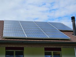25 Solarpanel Hareon Tritec HR-245 W 3BB Mno