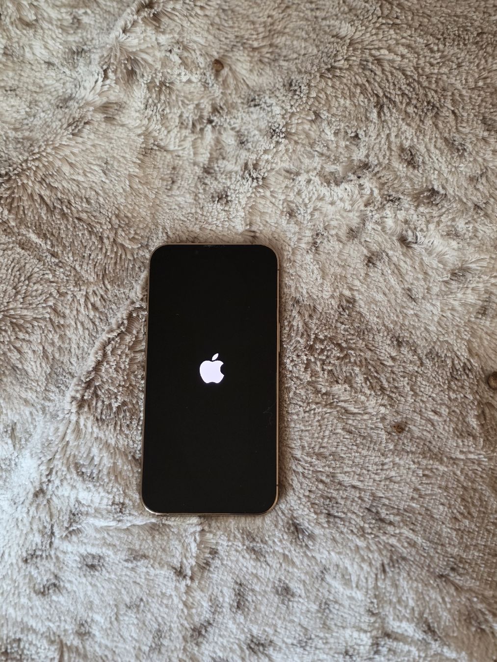 Apple Handys / Smartphones: iPhone 13pro 256 GB in Gold – Gebraucht aus Grenchen von Venusli.85 1