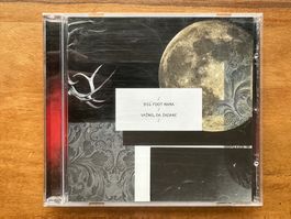 Big Foot Mama ‎– Važno, Da Zadane (CD Rock Slowenien)