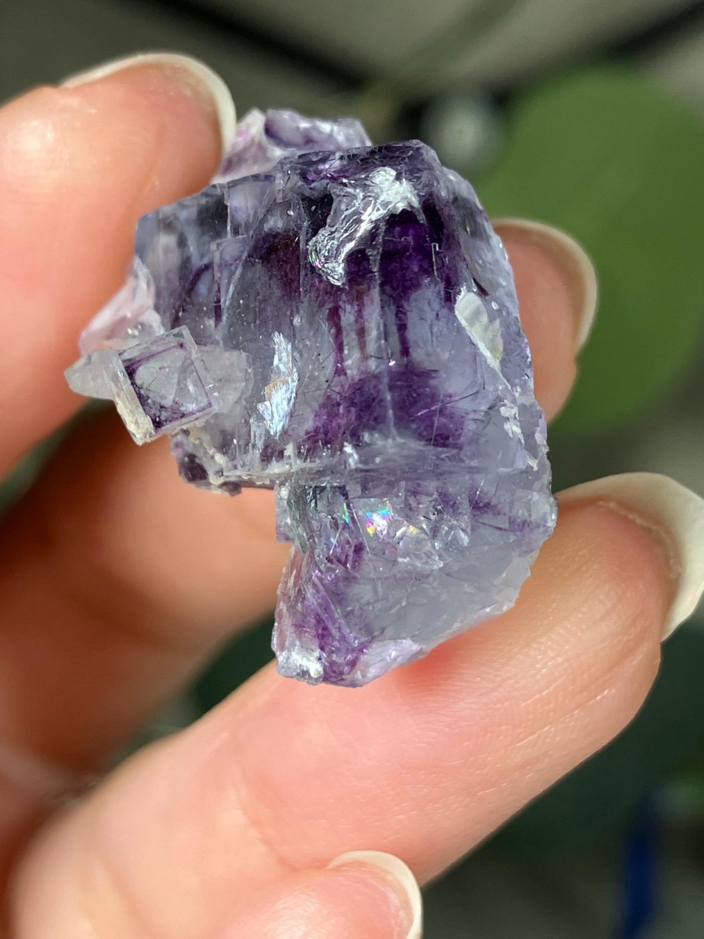 Edelsteine: Inner Mongolia Fluorit – Neu (gemäss Beschreibung) aus Neuheim von m.hald 2