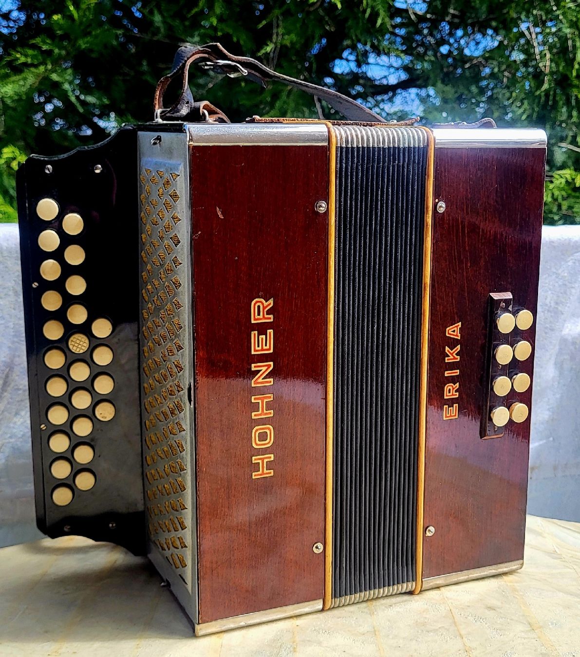 Musikinstrumente: Accordéon Hohner Erika – Gebraucht aus Penthalaz von EvandroLuz 1