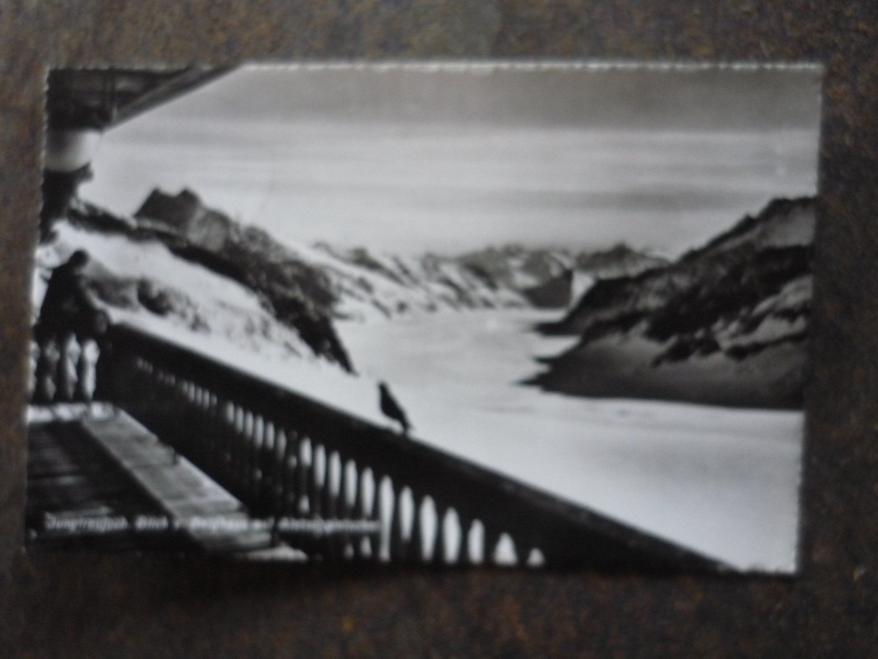 Cartoline postali: Postkarte Jungfraujoch – Usato da Langnau i. E. venduto da Laendu7000