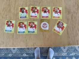 Panini 1 2 4 7 9 15 14 18 17 