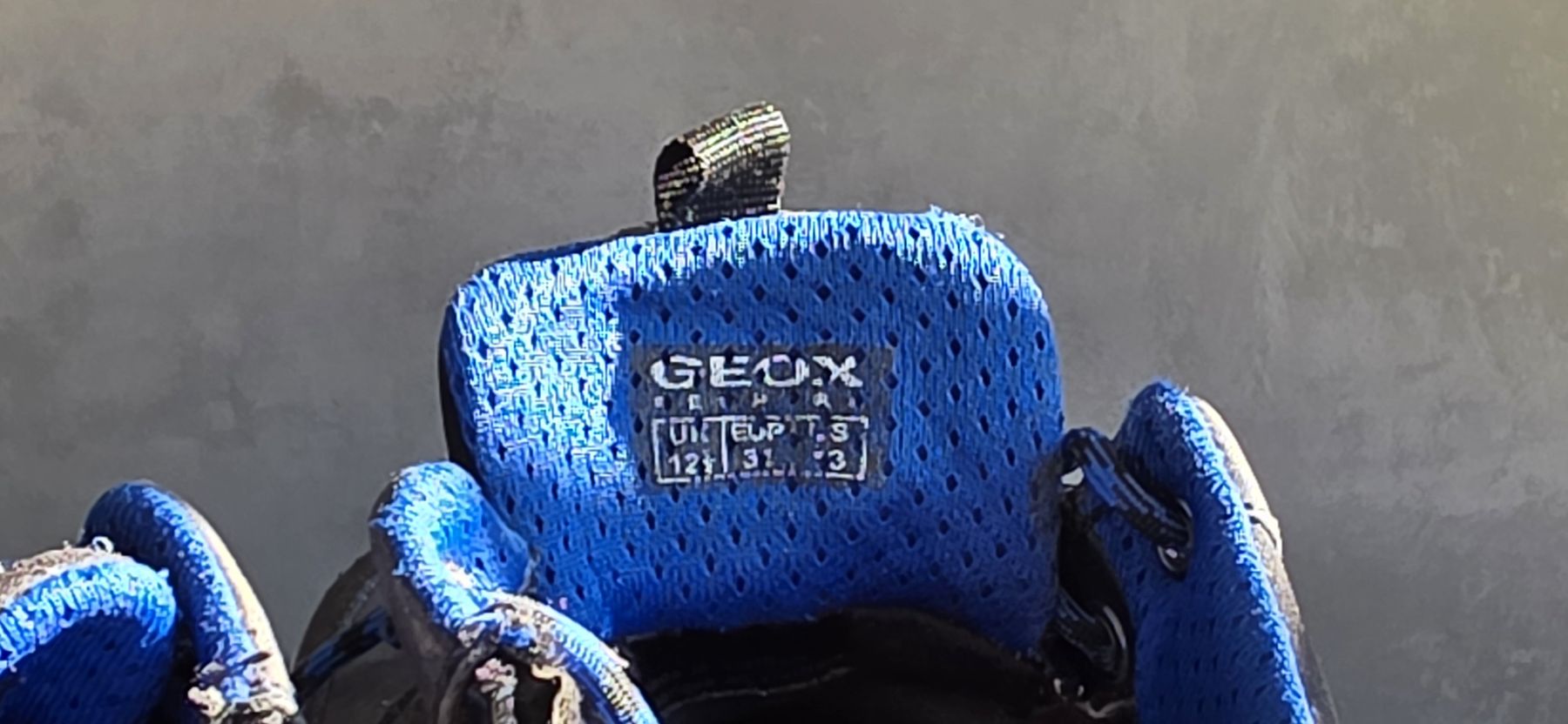 Geox Scarpe per ragazzi: Geox Kinder Sneaker Gr 31 – Usato da Stäfa venduto da Espresso_Macchiato 2