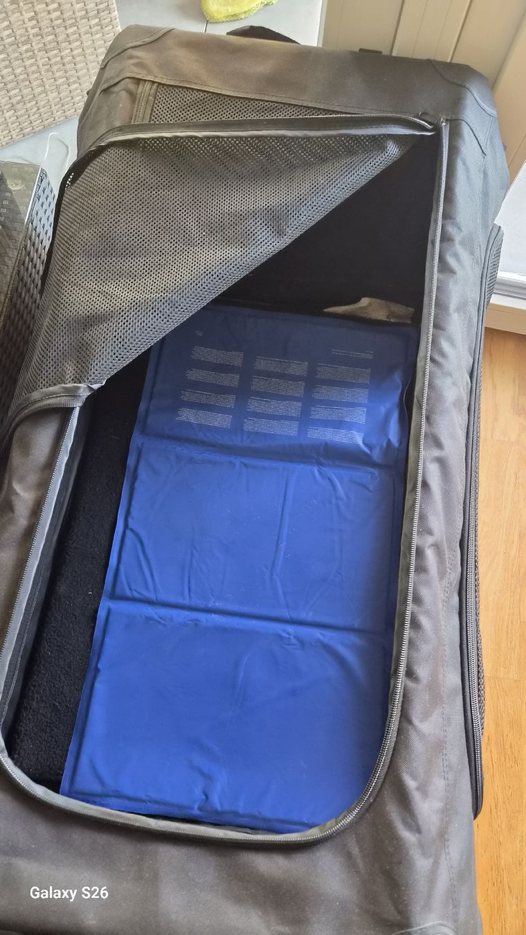 Niches, paniers: Hunde Box  – D'occasion à Oberglatt ZH par nat_c6k7 3