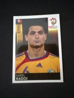 Panini UEFA EM 2008 Sticker - Nr. 317