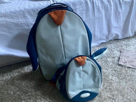 Samsonite Koffer und Rucksack