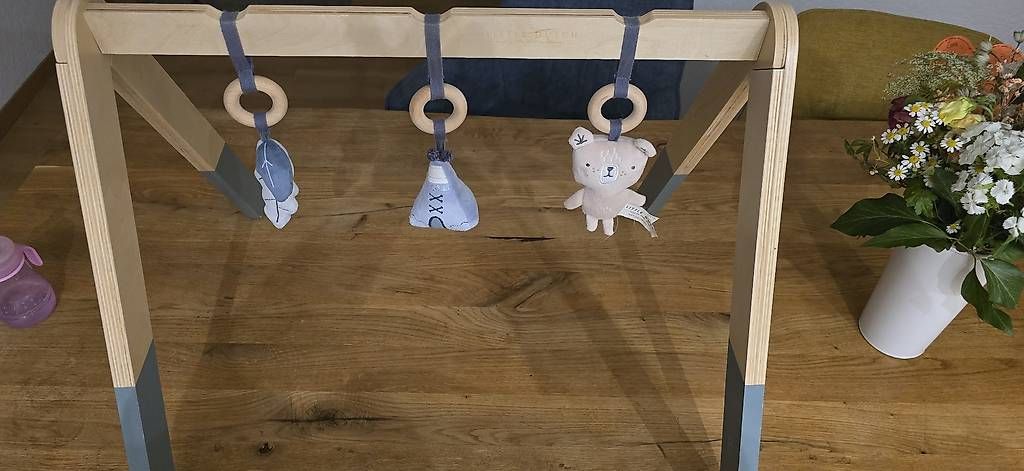 Giocattoli: Little Dutch BabyGym – Usato da Boll venduto da BernerIn_89