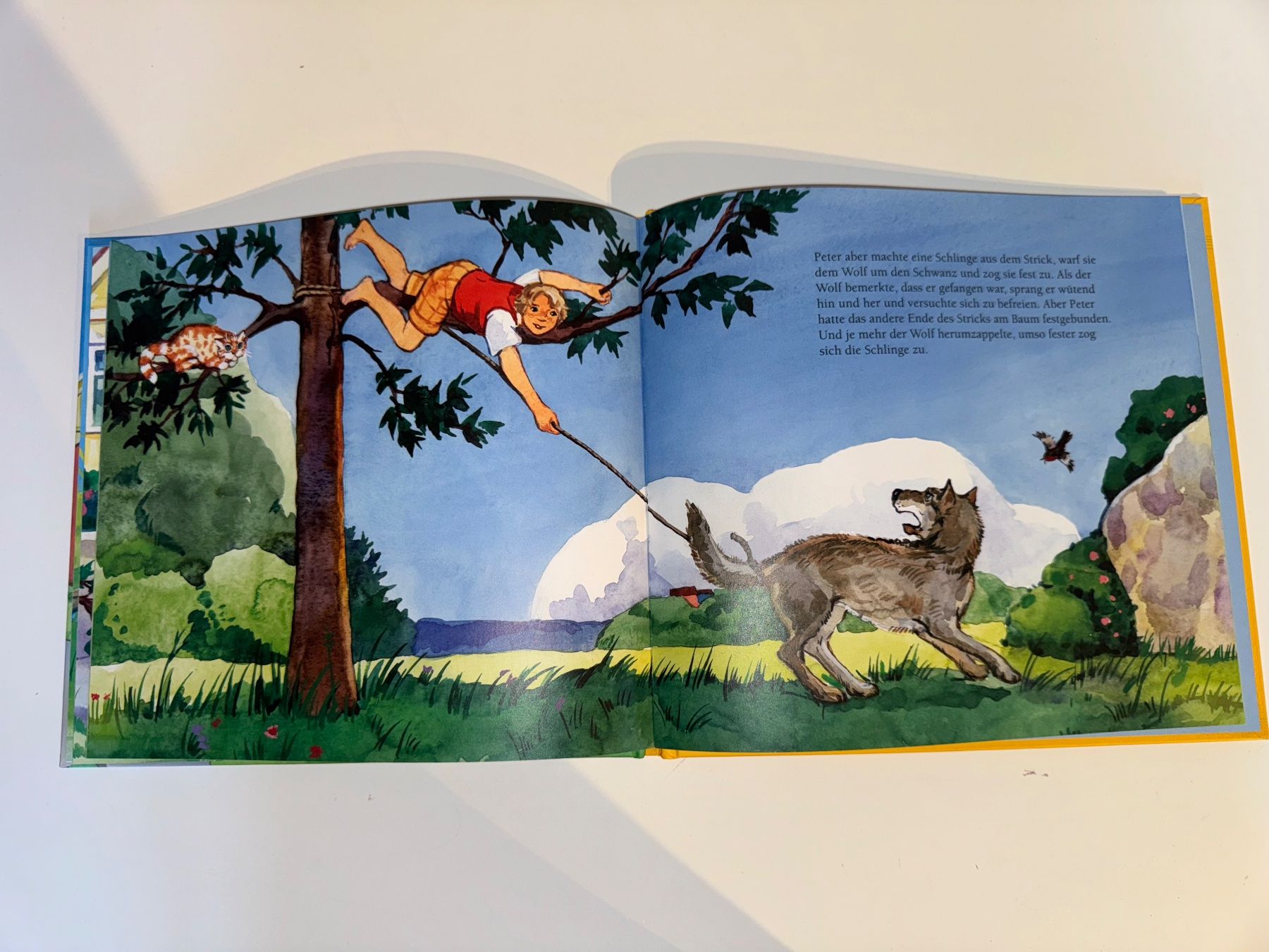 Libri: Buch: Peter und der Wolf – Usato da Grosswangen venduto da Second_hand_paradise 4
